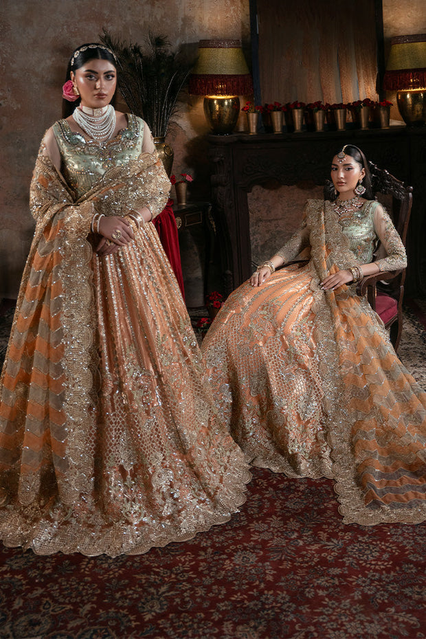 Embroidered Organza Pakistani Bridal Dress with Embellishment