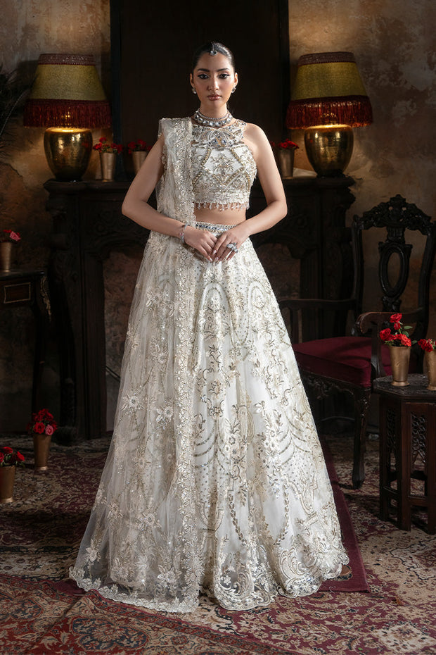 Embroidered Pakistani Bridal Dress with Organza Embellishment