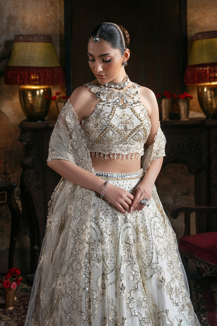 Embroidered Pakistani Bridal Dress with Organza Embellishment