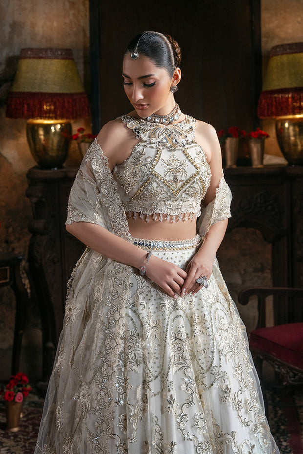 Embroidered Pakistani Bridal Dress with Organza Embellishment
