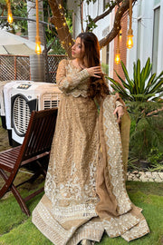 Dusty Pink Embroidered Tissue Maxi Pakistani Dress