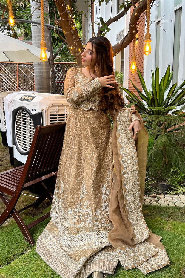 tissue dress design 2020 in pakistan Latest Tissue Lehenga Choli Pakistani Bridal Dress Online CUSTOM SIZES