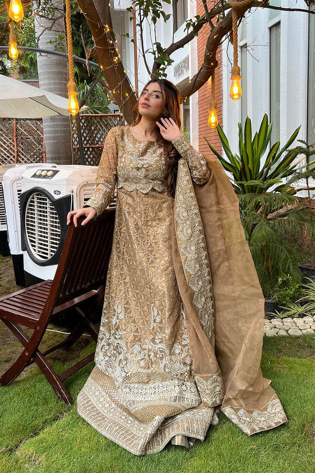Dusty Pink Embroidered Tissue Maxi Pakistani Dress