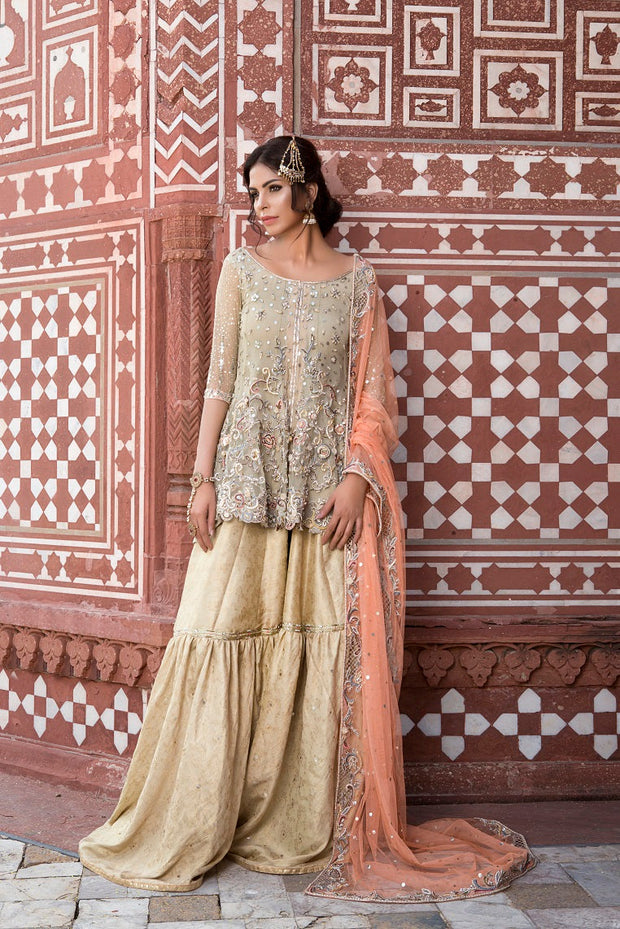 Elegant Pakistani Bridal Dress in Rich Maroon Fabric
