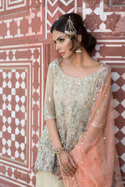 Elegant Pakistani Bridal Dress in Rich Maroon Fabric