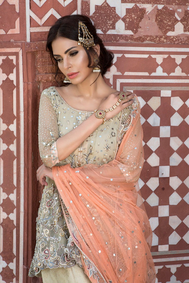 Elegant Pakistani Bridal Dress in Rich Maroon Fabric