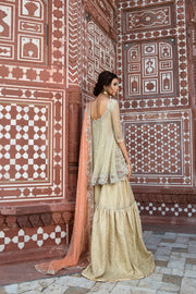 Elegant Pakistani Bridal Dress in Rich Maroon Fabric