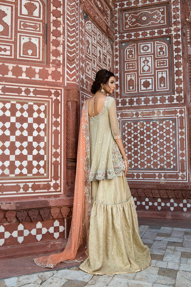 Elegant Pakistani Bridal Dress in Rich Maroon Fabric