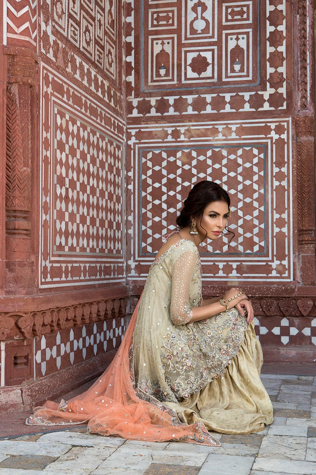 Elegant Pakistani Bridal Dress in Rich Maroon Fabric
