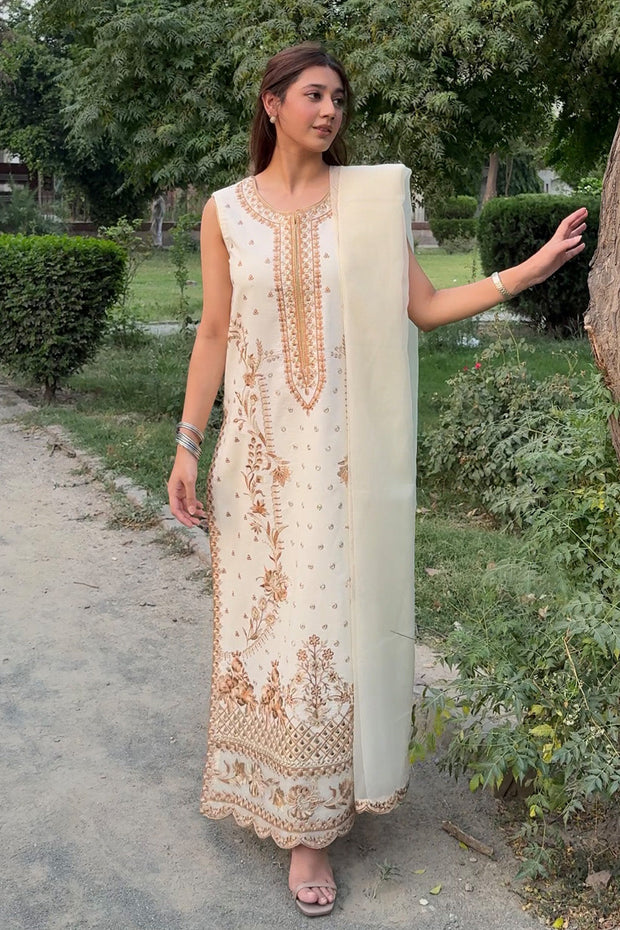 Elegant Cotton Straight Cut Pakistani Party Dress