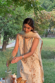 Elegant Cotton Straight Cut Pakistani Party Dress