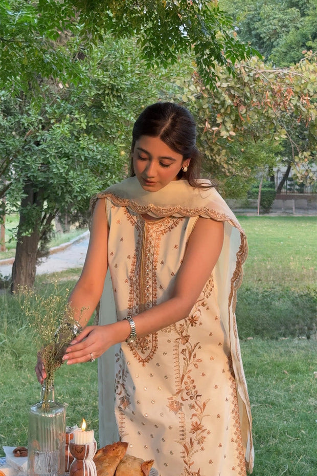 Elegant Cotton Straight Cut Pakistani Party Dress