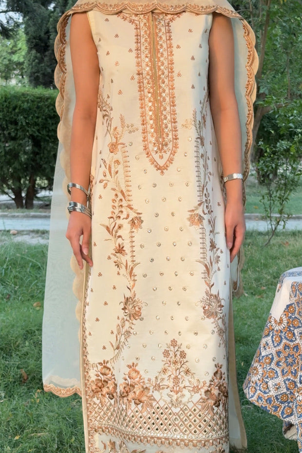 Elegant Cotton Straight Cut Pakistani Party Dress