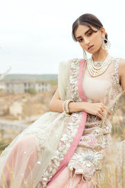 Exquisite Pakistani Bridal Dress with Embellished Details
