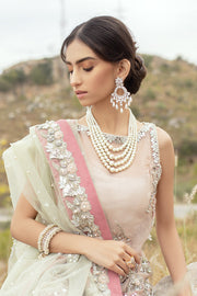 Exquisite Pakistani Bridal Dress with Embellished Details