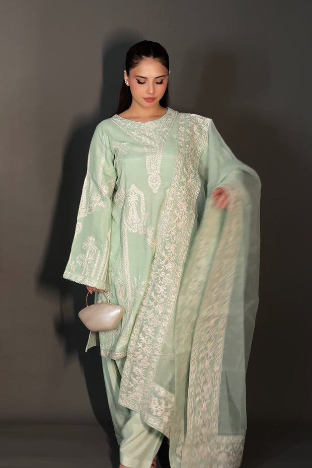 Charcoal Embroidered Organza Ensemble Pakistani Dress