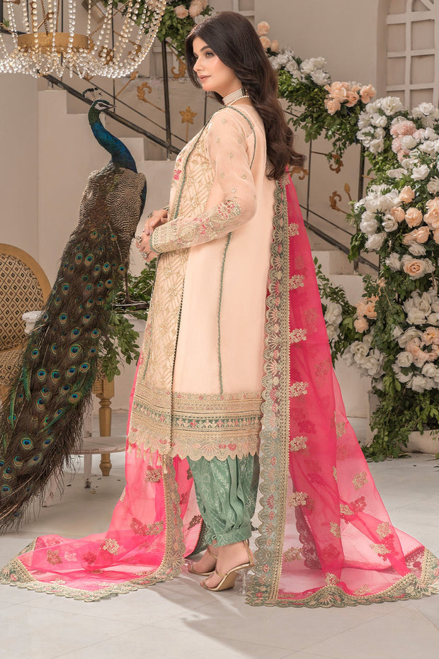 Imrozia Organza Pakistani Dresses Embroidered