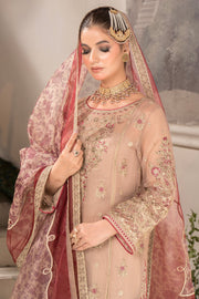 Imrozia Net Pakistani Dresses