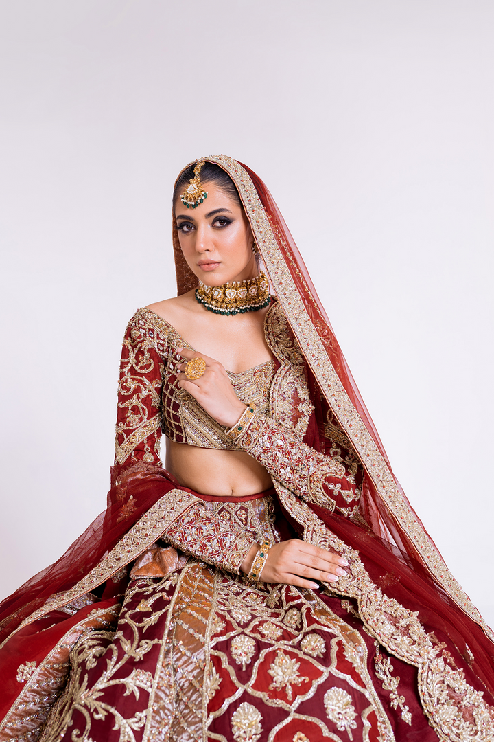 Indian Bridal Dress in Royal Lehenga and Choli Style Nameera by Farooq — free download
