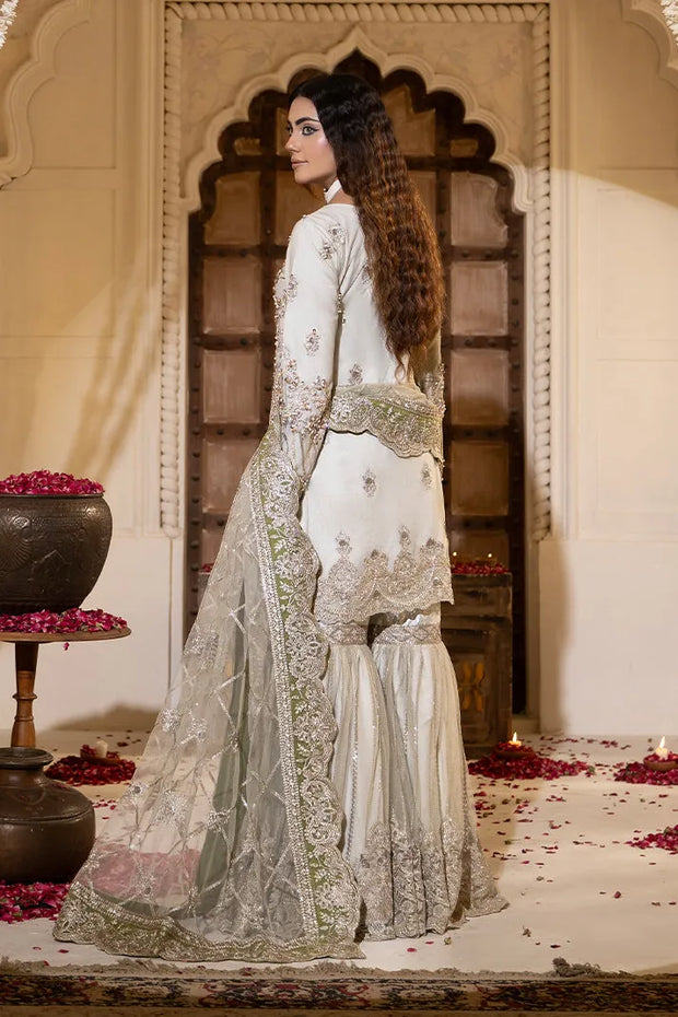 Elegant Pakistani Bridal Suit with Embroidered Net Design
