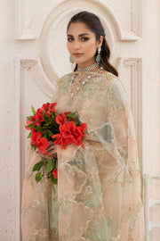 Kameez Trouser Embroidered Pakistani Wedding Dress