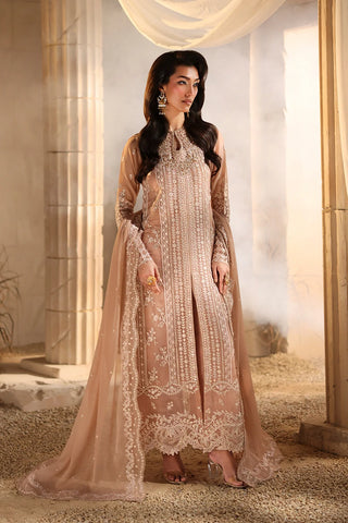 open lace back dress Latest Pakistani Fancy Party Dress in Sky Blue Color – Nameera by Farooq