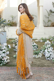 Latest Embroidered Kameez Trouser Pakistani Eid Dress