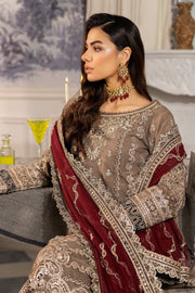 Latest Embroidered Kameez Trouser Style Pakistani Party Dress