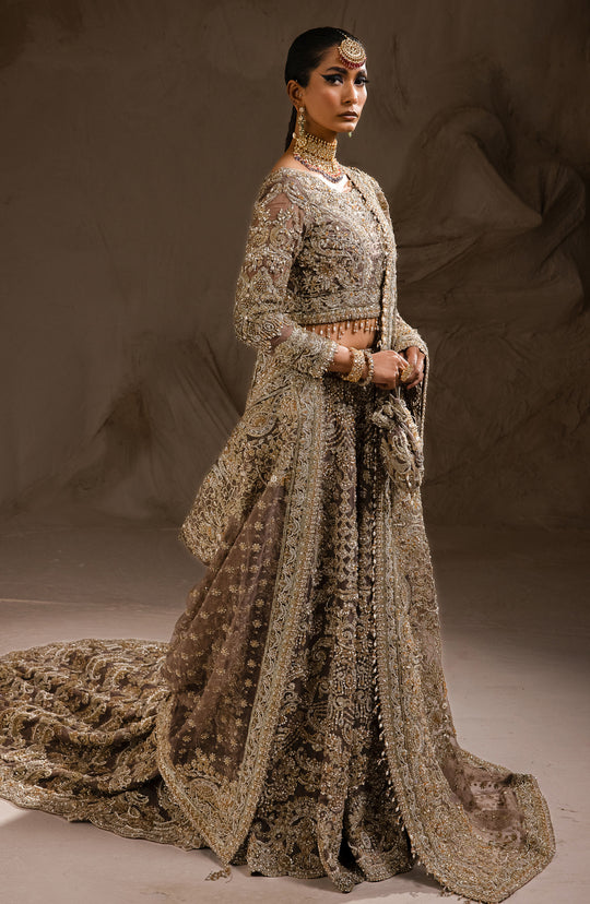 Latest Lehenga and Choli Embellished Pakistani Bridal Outfit