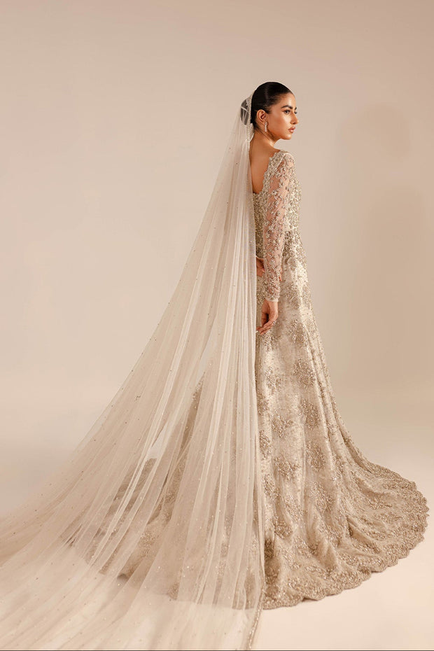 Latest Pakistani Wedding Dress in Bridal Gown and Veil Style