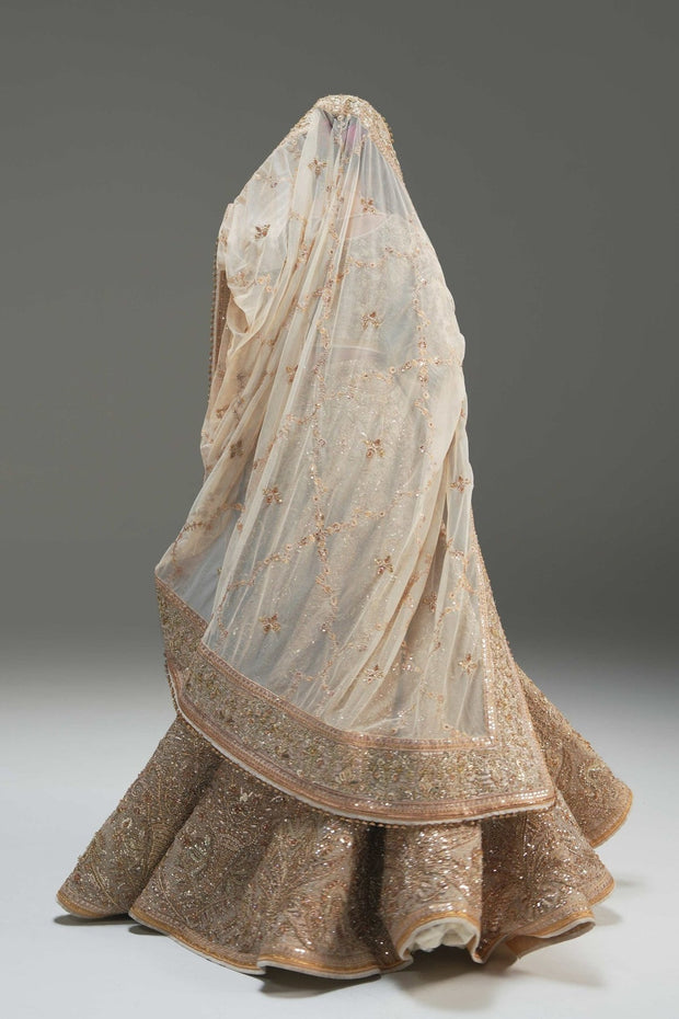 Latest Pakistani Wedding Dress in Net Choli and Lehenga Style
