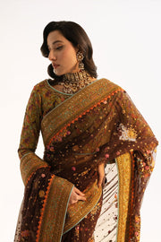Latest Pakistani Wedding Dress in Traditional Saree Style