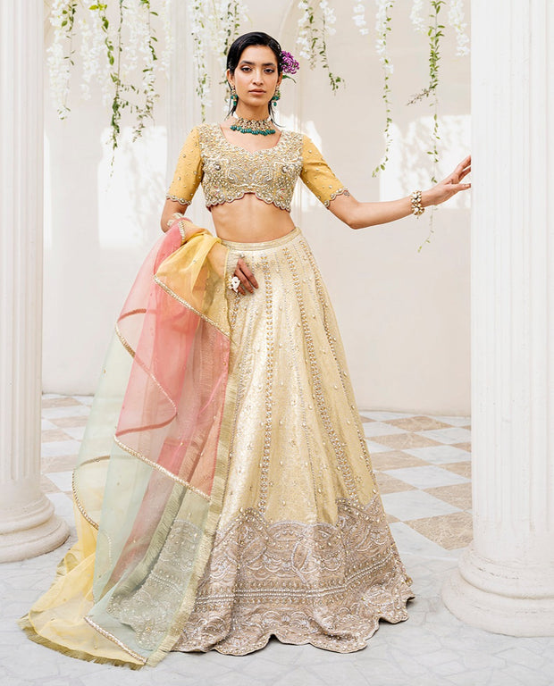 Latest Premium Yellow Bridal Lehenga Choli and Dupatta Dress