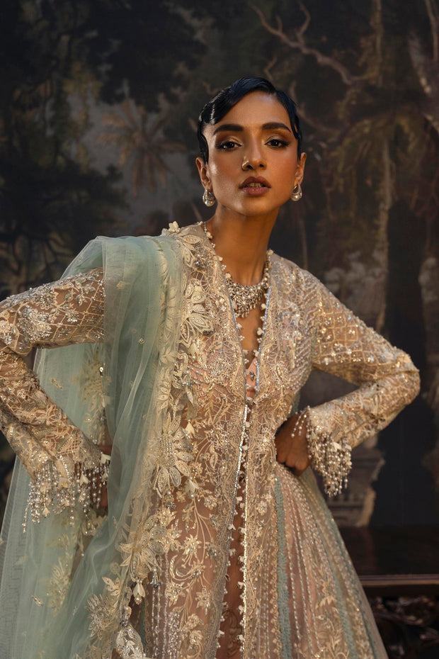 Mint Whisper Pakistani Party Dress