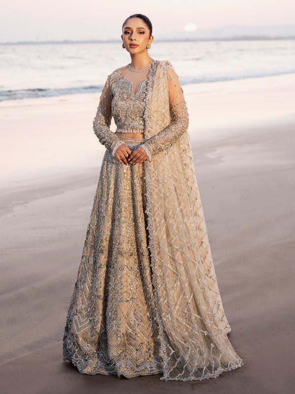Shop Elegant Pakistani Bridal Lehenga and Choli Ensemble