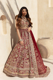 Lehenga Choli Red Pakistani Bridal Dress for Wedding