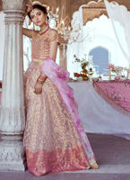 Lehenga Choli Pakistani Bridal Dresses