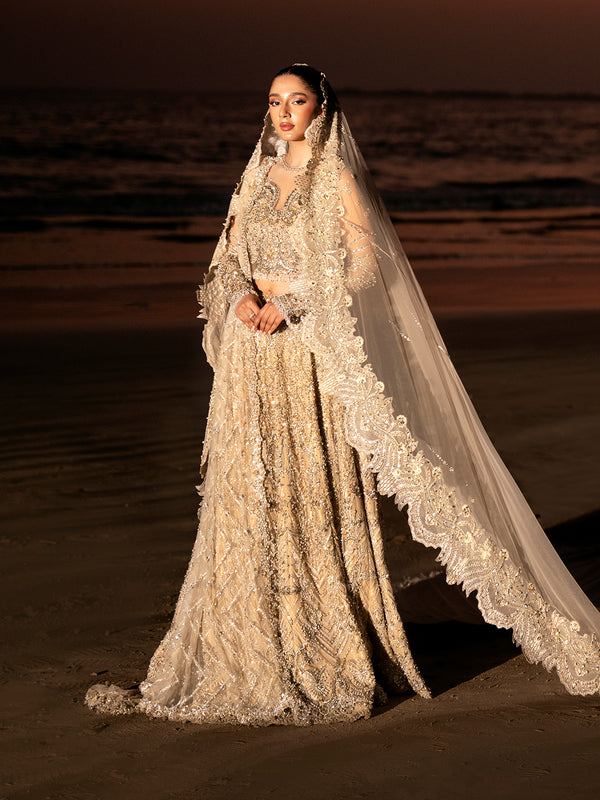 Shop Elegant Pakistani Bridal Lehenga and Choli Ensemble