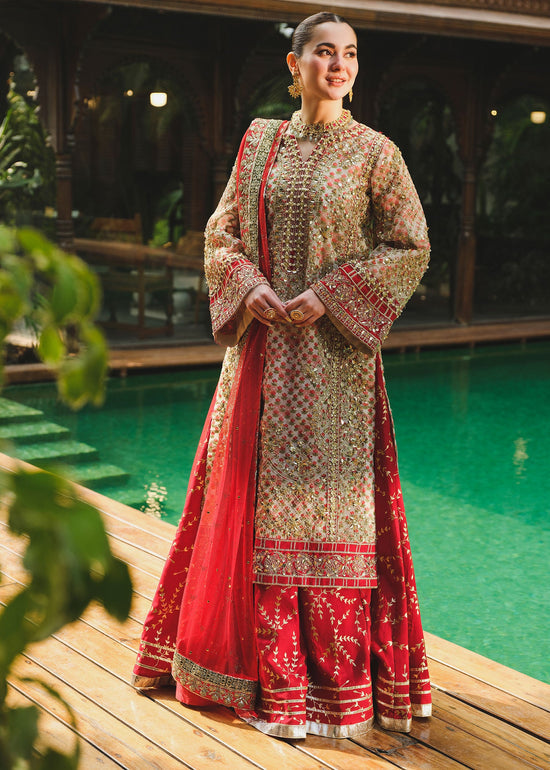red and golden sharara dress Red Chinnon Silk Embroidery Work Sharara Suit