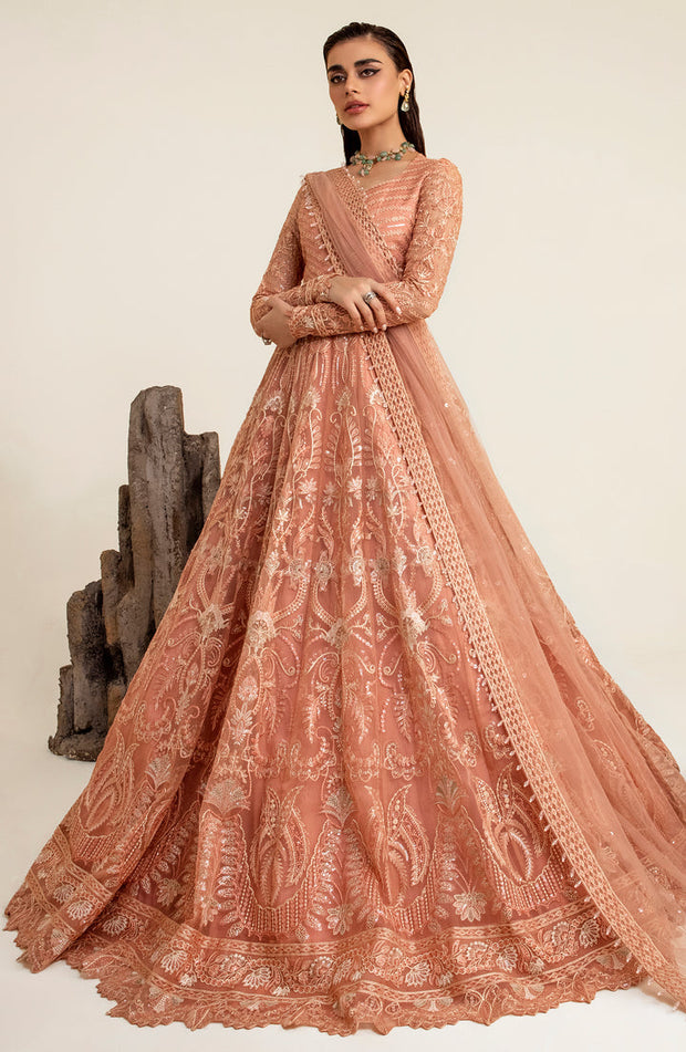 Luxury Tea Pink Embroidered Pakistani Wedding Dress Pishwas Frock
