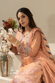 Festive Embroidered Organza Dress Set