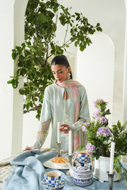 Elegant Embroidered Lawn Pakistani Party Dress