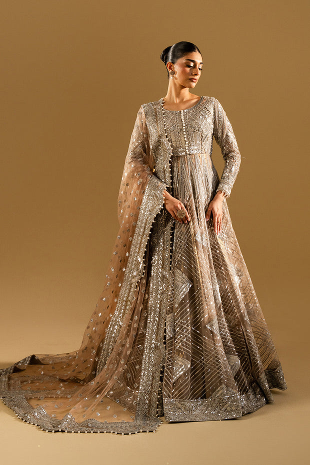 Silver Embroidered Net Maxi Pakistani Party Dress