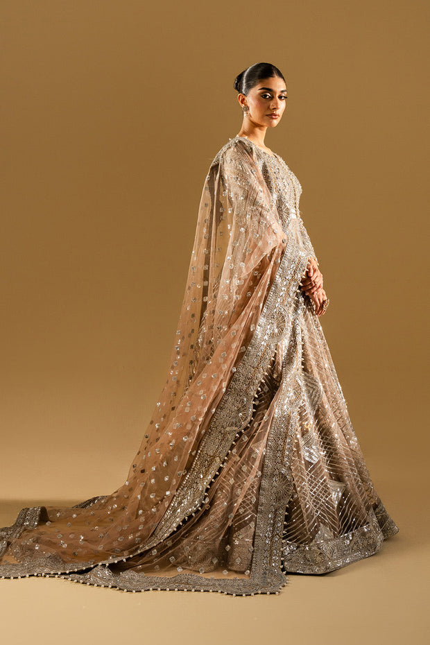 Silver Embroidered Net Maxi Pakistani Party Dress