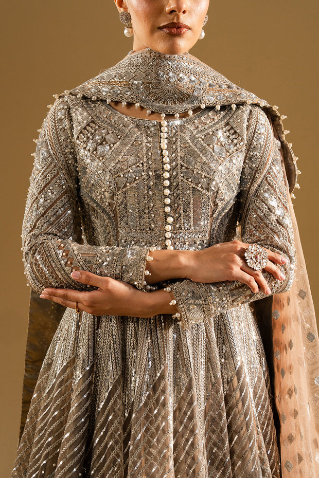 Silver Embroidered Net Maxi Pakistani Party Dress