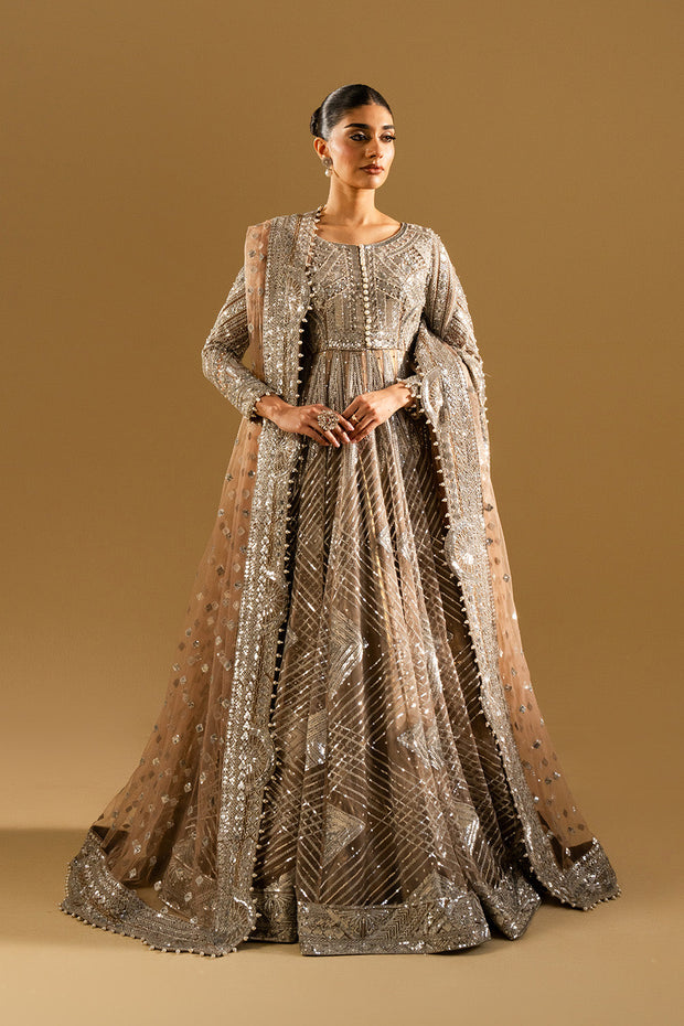 Silver Embroidered Net Maxi Pakistani Party Dress