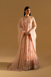 Peach Luxury Net Gown Pakistani Designer Dress