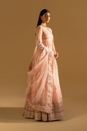 Peach Luxury Net Gown Pakistani Designer Dress
