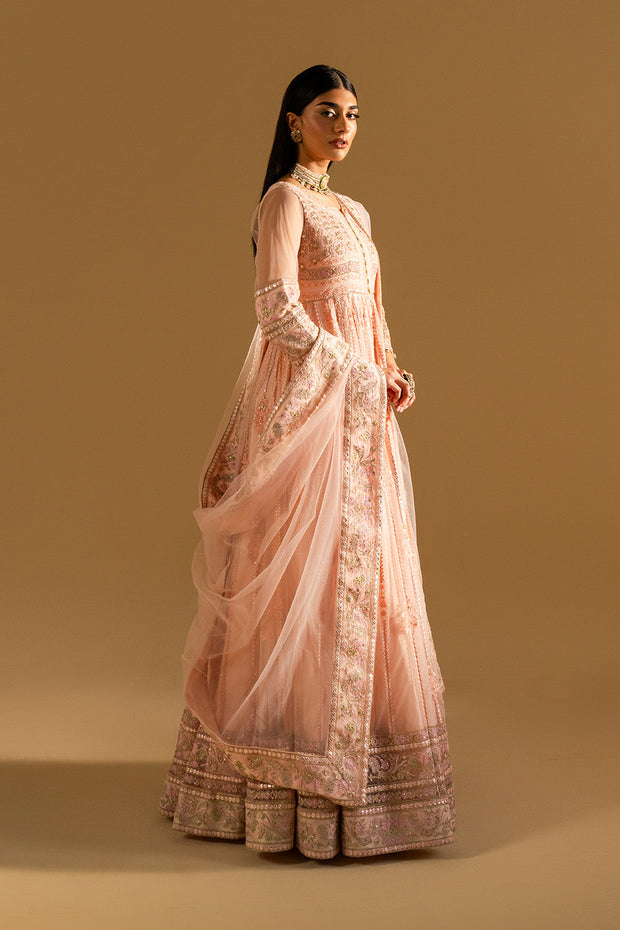 Peach Luxury Net Gown Pakistani Designer Dress
