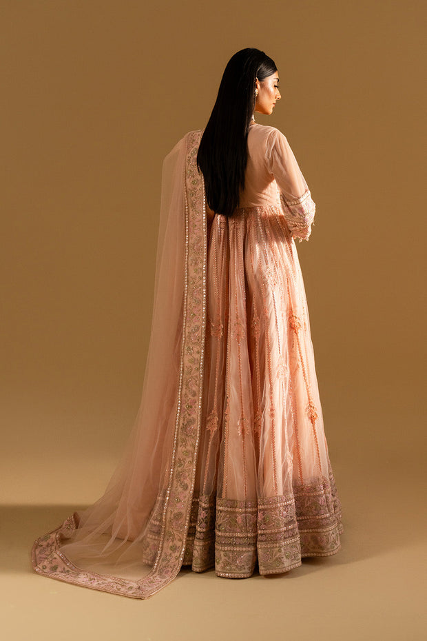 Peach Luxury Net Gown Pakistani Designer Dress